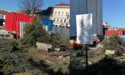 Cluj: Arborii din jurul Bisericii Sf. Mihail au fost puși la pământ. „Ultimul petec verde din centrul Clujului a dispărut”