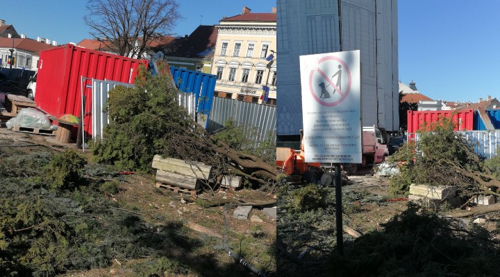 Cluj: Arborii din jurul Bisericii Sf. Mihail au fost puși la pământ. „Ultimul petec verde din centrul Clujului a dispărut”