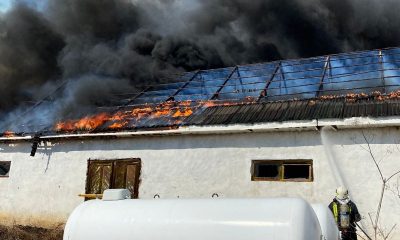Cluj: Pericol de explozie. Pompierii se luptă ca focul să nu ajungă la 2 rezervoare pline cu gaz 1