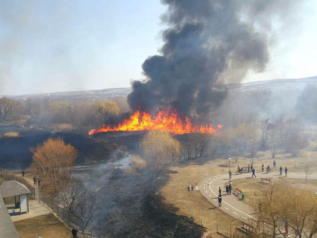 Foc puternic în Gheorgheni. A luat foc vegetația uscată din zona lacurilor