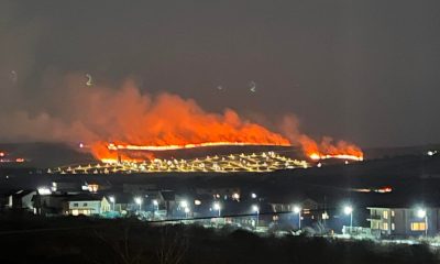 Incendiu de proporții în Cluj-Napoca. Arde dealul în zona Sopor