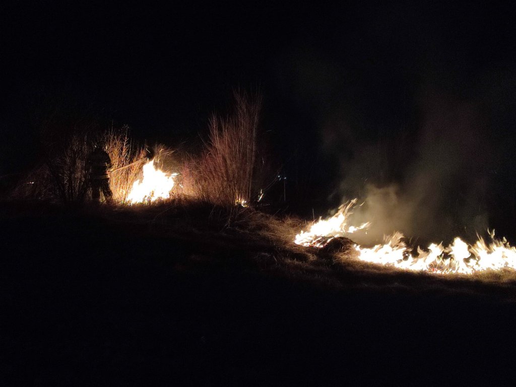 Incendiu de vegetație în Turda, în zona podului peste Arieș de pe DN 1