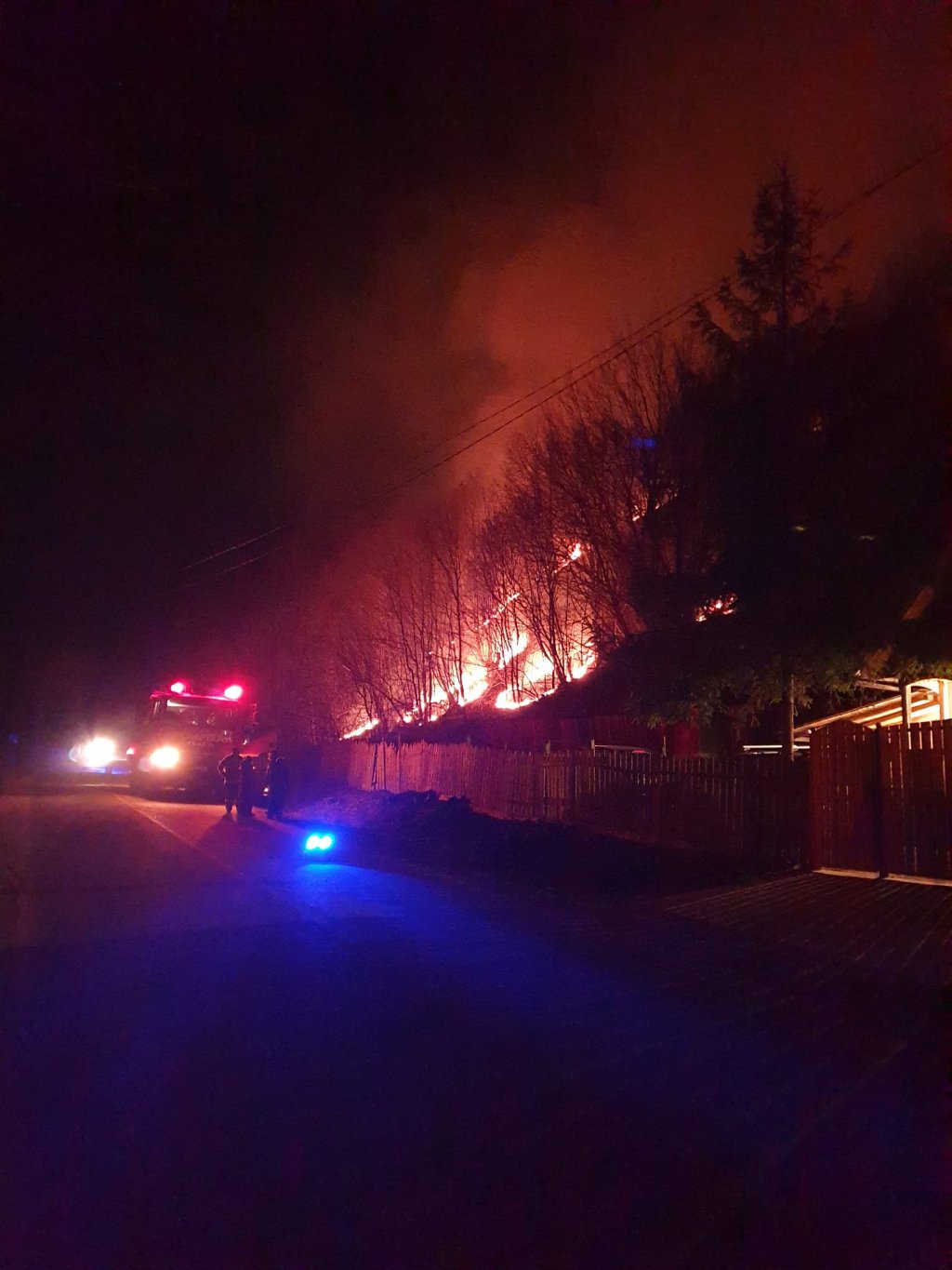 Incendiul de pădure de la Băișoara. Misiune dificilă pentru pompieri