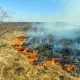 Primărița din Chinteni îi amenință pe cei care își incendiază terenurile că nu vor mai primi adeverința pentru subvențiile APIA