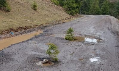 Drumul care leagă Clujul de Alba, plin de gropi deşi a fost reabilitat în toamnă: „Mulţumim pentru gropi, noi am făcut plantaţia de brazi”