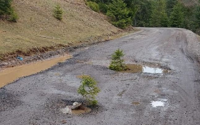 Drumul care leagă Clujul de Alba, plin de gropi deşi a fost reabilitat în toamnă: „Mulţumim pentru gropi, noi am făcut plantaţia de brazi”