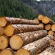 Material lemnos fără documente de exploatare, confiscat la Mărişel