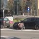 Mizeria umană, pe şoselele Clujului: Un şofer şi-a primit înapoi mucul de tigară “scăpat” pe jos. Ce a făcut după aceea