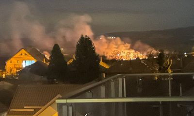 Multiple incendii de vegetație în estul municipiului Cluj. Pompierii intervin cu patru echipaje