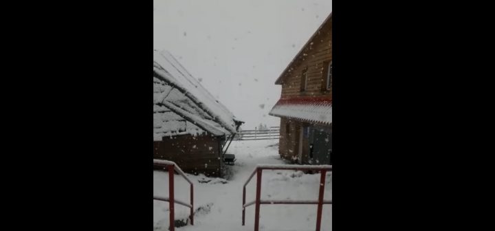 (Video) Iarna s-a întors la Cluj, ninge ca în povești în zona de munte