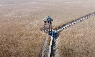 (Foto/Video) Stufărișurile de la Sic, a doua Delta Dunării din România