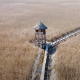 (Foto/Video) Stufărișurile de la Sic, a doua Delta Dunării din România