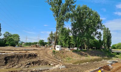 Armătura Clujului Verde: parcuri mai moderne, dar mai chelite de vechii copaci - ZiardeCluj.ro