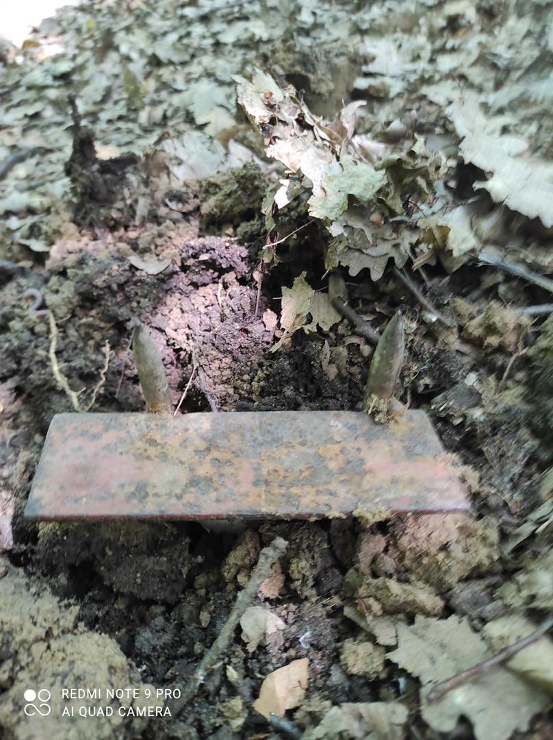 Atenție, capcane în pădurile de lângă Cluj! Țepușe găsite în zona potecilor sau a traseelor de bicicletă