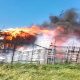 INCENDIU în Cluj-Napoca: O anexă gospodărească s-a făcut scrum. 2 porci au murit în flăcările întețite de vântul puternic