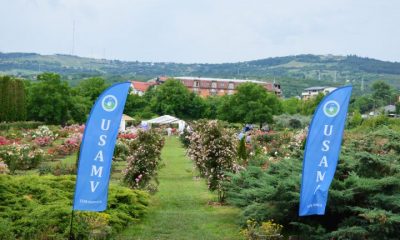 USAMV vă invită la ”Parfum de Cluj”, eveniment dedicat iubitorilor de trandafiri