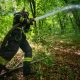Incendiu de pădure în Beliș. Intervin pompierii