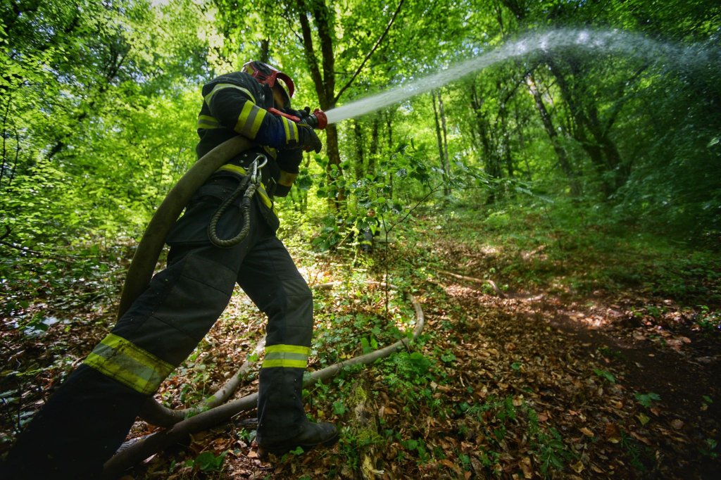 Incendiu de pădure în Beliș. Intervin pompierii