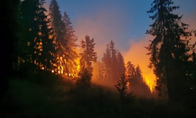 Incendiu de proporții într-o pădure din Munții Apuseni. Intervin zeci de pompieri și voluntari