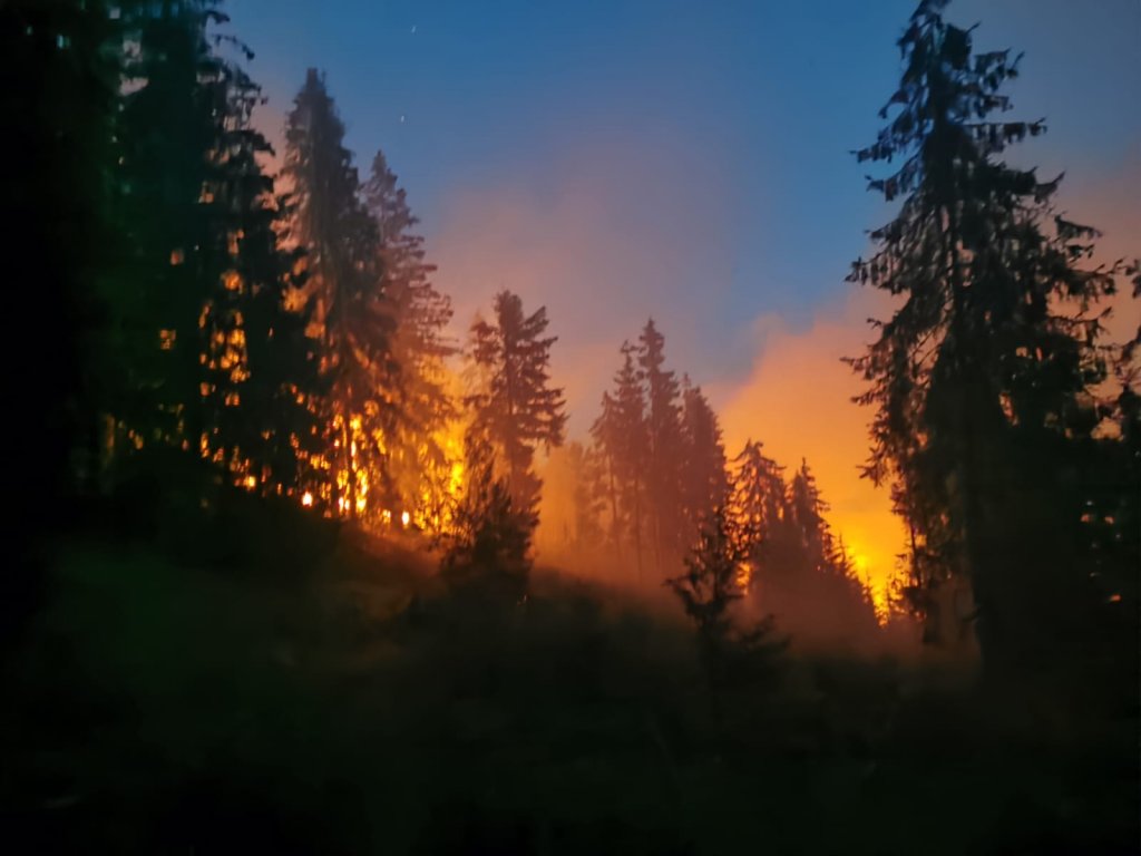 Incendiu de proporții într-o pădure din Munții Apuseni. Intervin zeci de pompieri și voluntari