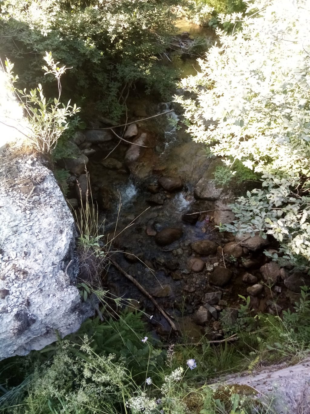 S-a prăbușit cu ATV-ul într-o râpă de 4 metri în zona Valea Drăganului