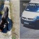 Cruzime fără margini. Un șofer din Cluj a călcat intenționat un cățel: "Săracul, era atât de fericit" 1