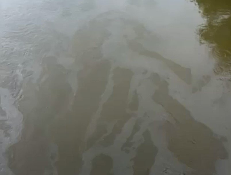 Poluare cu ULEI pe Someș în Cluj-Napoca. Ar fi de la utilajele care lucrează la malurile râului