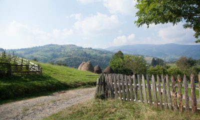 Cluj: Se modernizează drumul de acces către un monument natural, unicat în țară