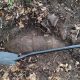 (Foto) Bombă de 100 de kilograme găsită în apropiere de Cluj Napoca, în Pădurea Făget