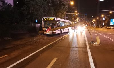 Un clujean pe trotinetă a provocat accidentul în urma căruia un autobuz a rupt un stâlp de iluminat public 1
