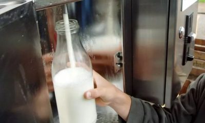 Cluj: Patru copii au golit de bani trei dozatoare de lapte