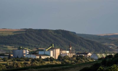 Fabrica de zahăr de la Luduș a fost salvată de o asociație de fermieri 1