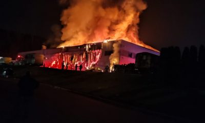 Incendiu puternic în Parcul Tetarom din Cluj-Napoca! Pompierii intervin cu 5 autospeciale. Au cerut ajutor în Alba și Sălaj