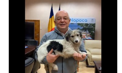 Video Cluj. Emil Boc a găsit un cățeluș. „Dacă-l recunoașteți, vă rog să sunați cu încredere. Este chiar în Biroul Primarului”