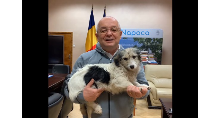 Video Cluj. Emil Boc a găsit un cățeluș. „Dacă-l recunoașteți, vă rog să sunați cu încredere. Este chiar în Biroul Primarului”