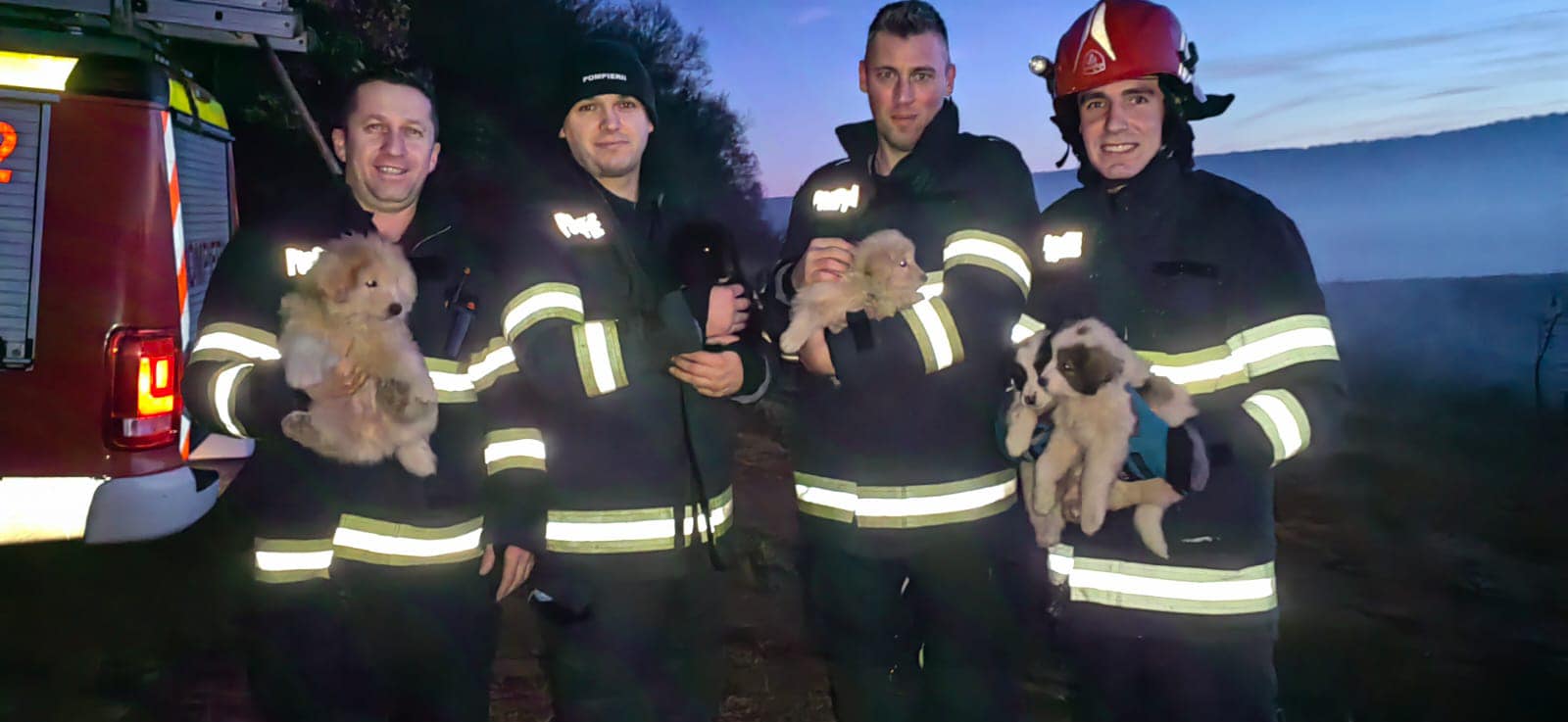 Cluj. 5 cățeluși salvați de pompieri dintr-un bazin adânc de 6 metri. „Aceștia au fost găsiți întâmplător de o tânără” 1
