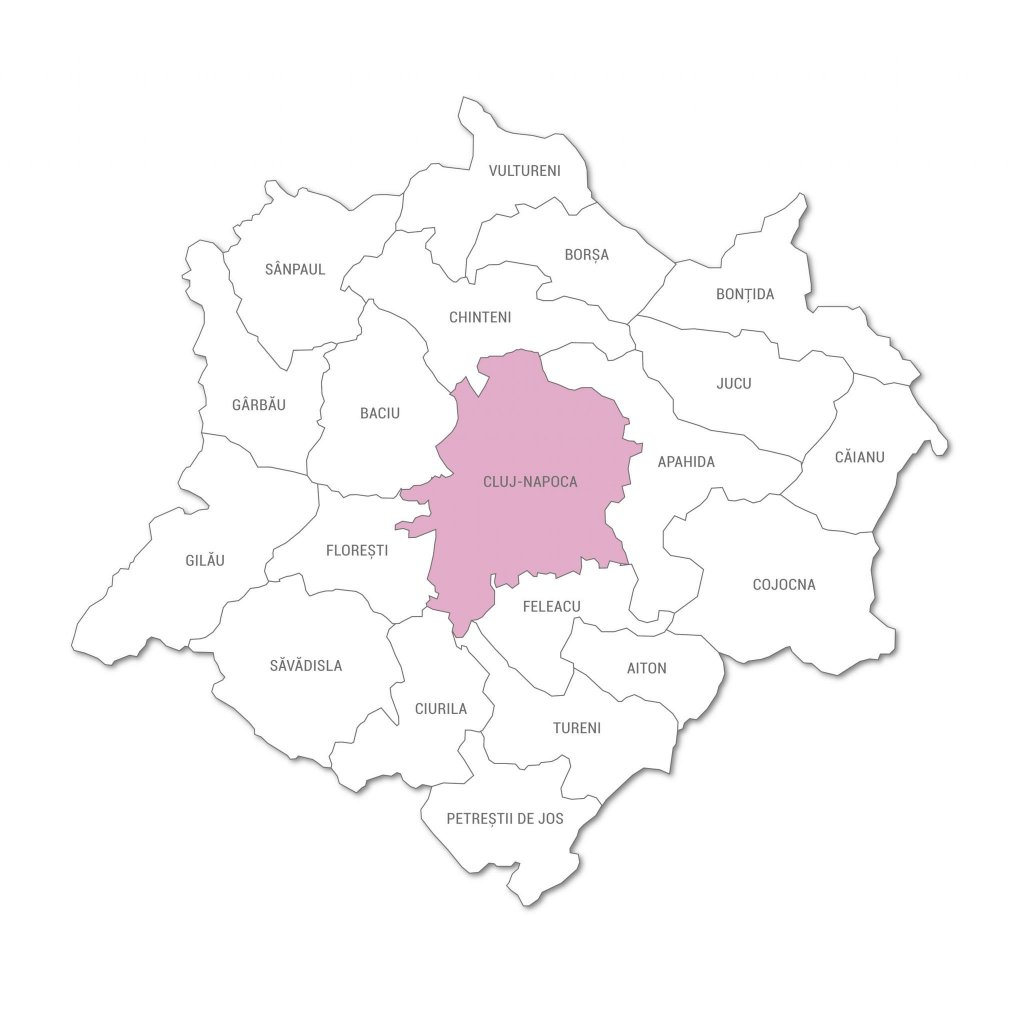 Câți oameni locuiesc în Zona Metropolitană a Clujului
