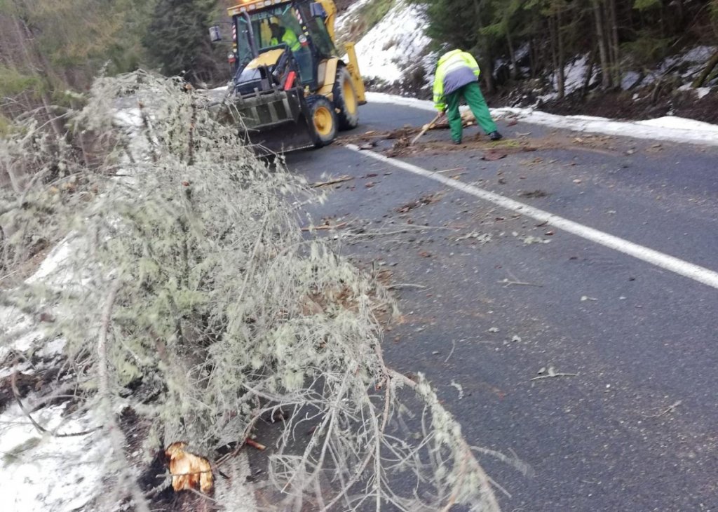 Drum blocat din munții Apuseni. Vântul puternic a doborât mai mulți copaci pe șosea