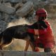 Trei voluntari clujeni cu câini de salvare se alătură echipei care a plecat în Turcia