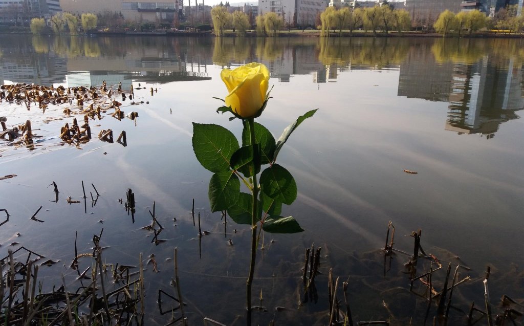 Cupa Mărțișor revine la Cluj! Concurs de pescuit pentru doamne și domnișoare. Participarea e gratuită
