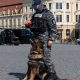 Ziua Poliției Române sărbătorită în centrul Clujului. Oamenii s-au bucurat de tehnica expusă și de demonstrațiile “mascaților”
