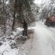 Iarna nu se lasă dusă de la Cluj! Un nou copac căzut pe un drum în zona de munte a județului