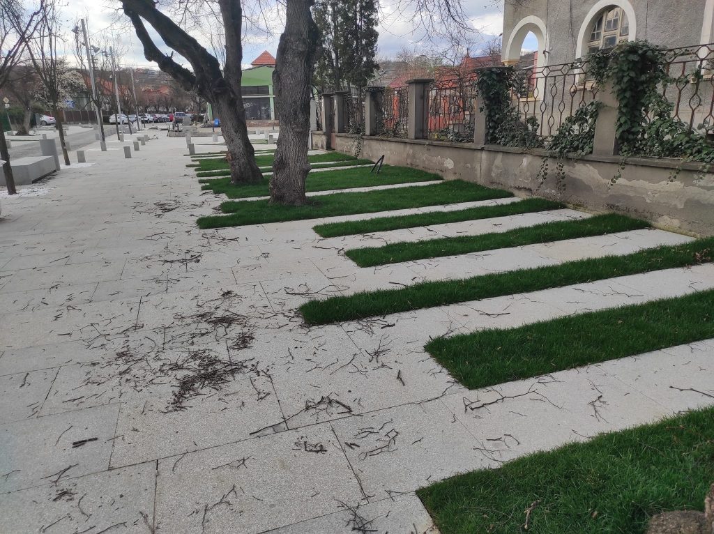 Modernizare în Cluj Napoca: “Vreun expert poate să-mi spună și mie care este rolul acestor inserții masive de piatră peste spațiul verde?” 1