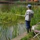 Concurs de pescuit pe lacul I Gheorgheni din Cluj-Napoca, de Ziua Copilului. Participarea este GRATUITĂ
