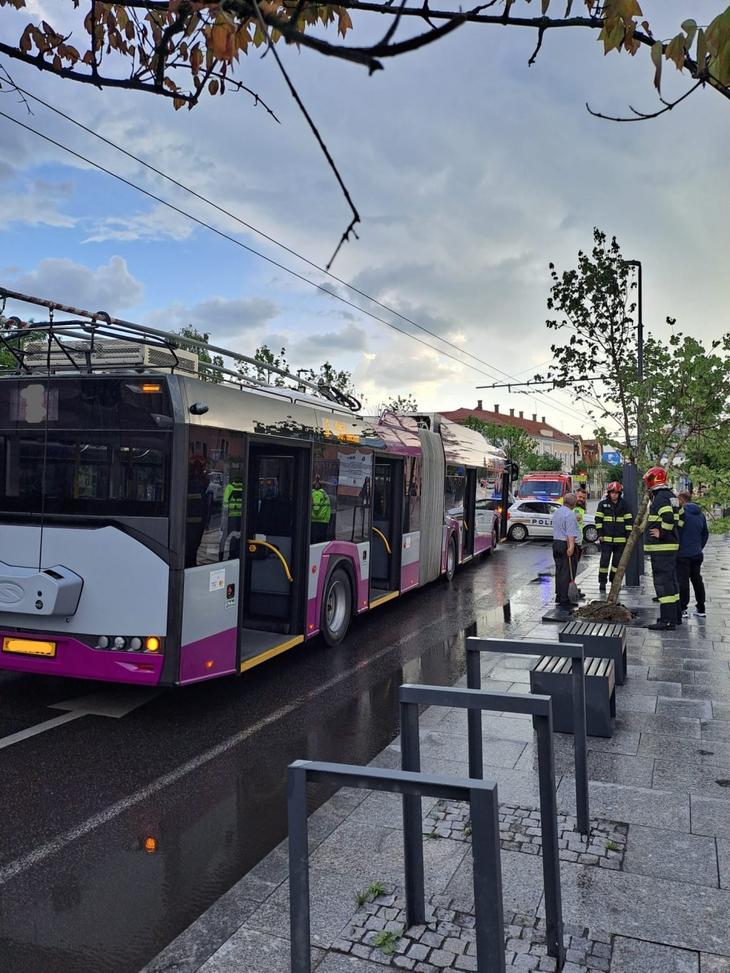Femeie transportata la spital, dupa ce un autobuz public a evitat un copac ce risca sa cada pe sosea