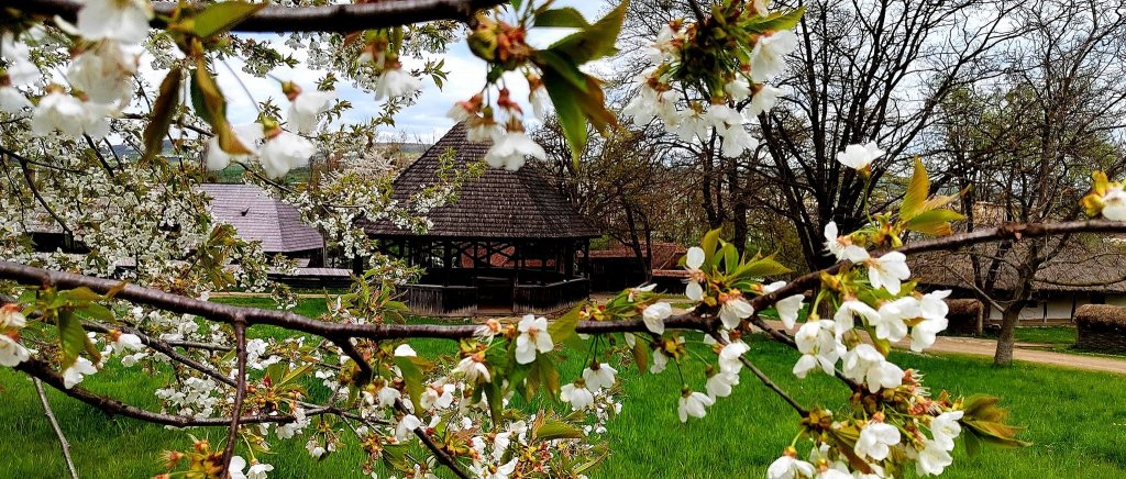Parcul Etnografic „Romulus Vuia” din Cluj, inclus în ruta turistică a muzeelor în aer liber din România