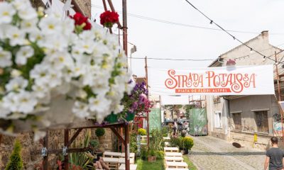 Strada Potaissa din Cluj Napoca redevine piața de flori