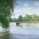 Un cadavru  fost găsit în râul Mureș! Trupul este al unuia dintre cei patru dispăruți după ce barca s-a răsturnat