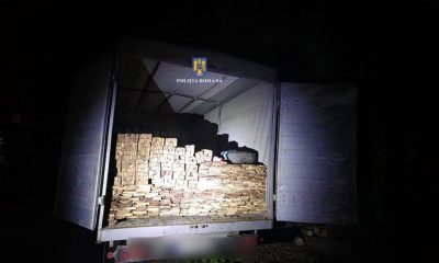 Bărbat din Cluj, prins de mai multe ori în timp ce transporta lemne ilegal. Amenzile de zeci de mii de lei nu l-au oprit