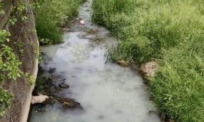 Poluare pe un afluent al Someșului. Apa are un aspect albicios